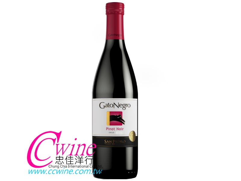 VINA SAN PEDRO GATO PINOT NOIR twùst s߶¥ֿլs