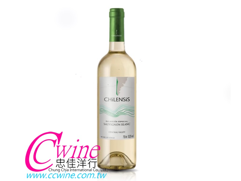 CHILENSIS Sauvignon Blanc Special Selection '17 贵sS Ĭ@հs 2017